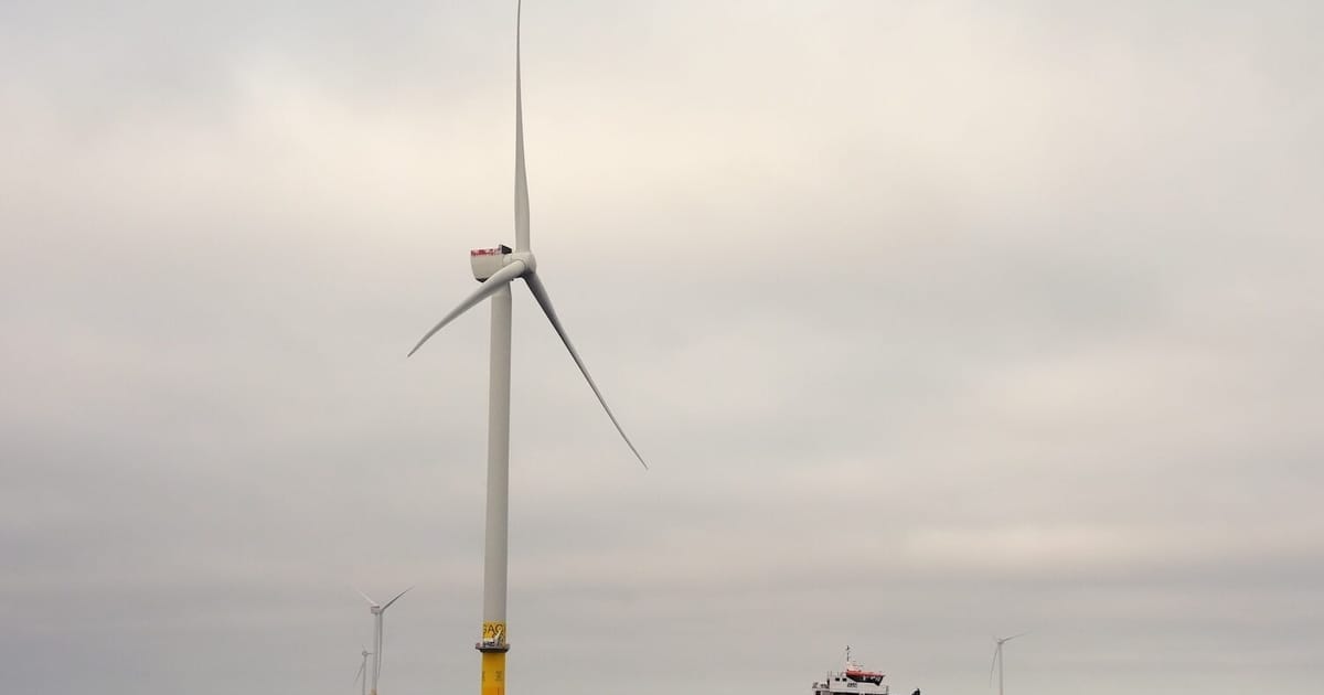Here's how offshore wind helped New England beat record heat