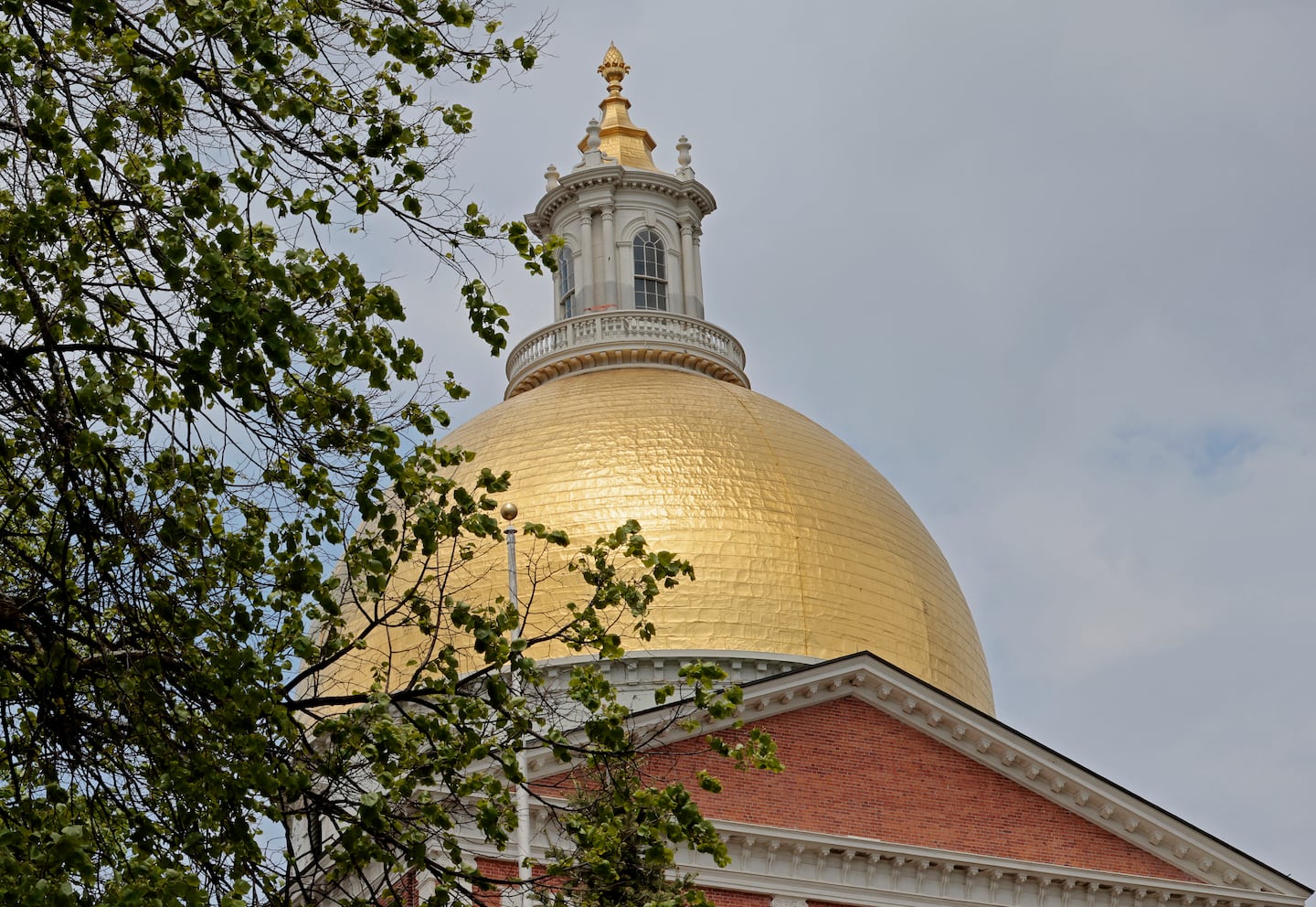 Anthropic backs new AI regulations in Massachusetts that would be among strictest in nation