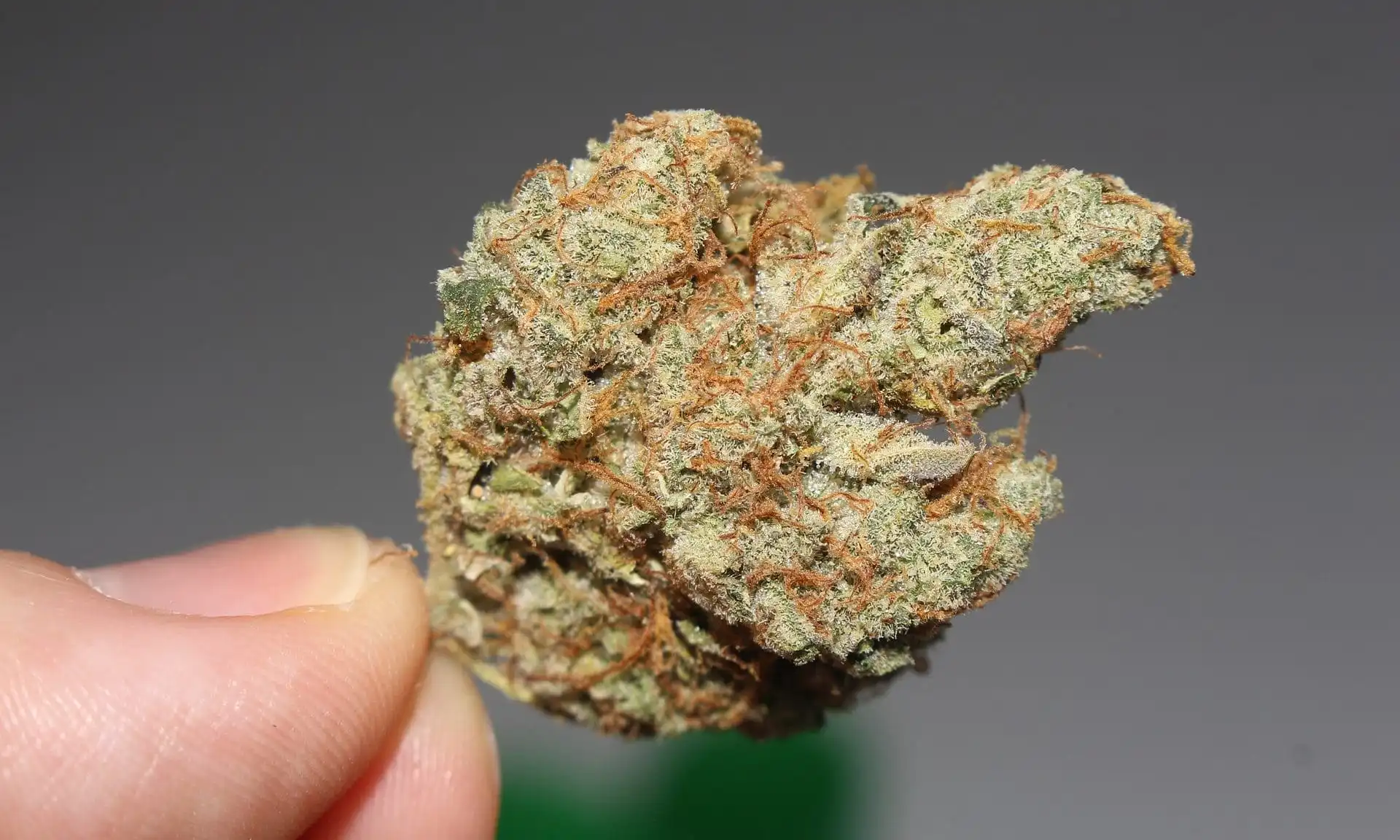 Massachusetts Initiative To Roll Back Marijuana Legalization Officially Qualifies For November Ballot
