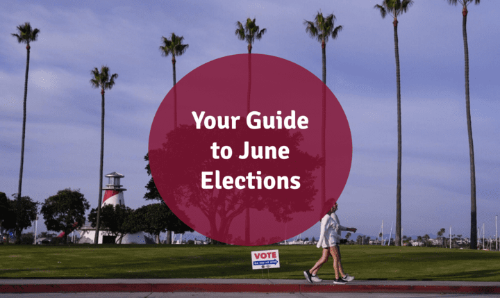100 Elections to Watch This June