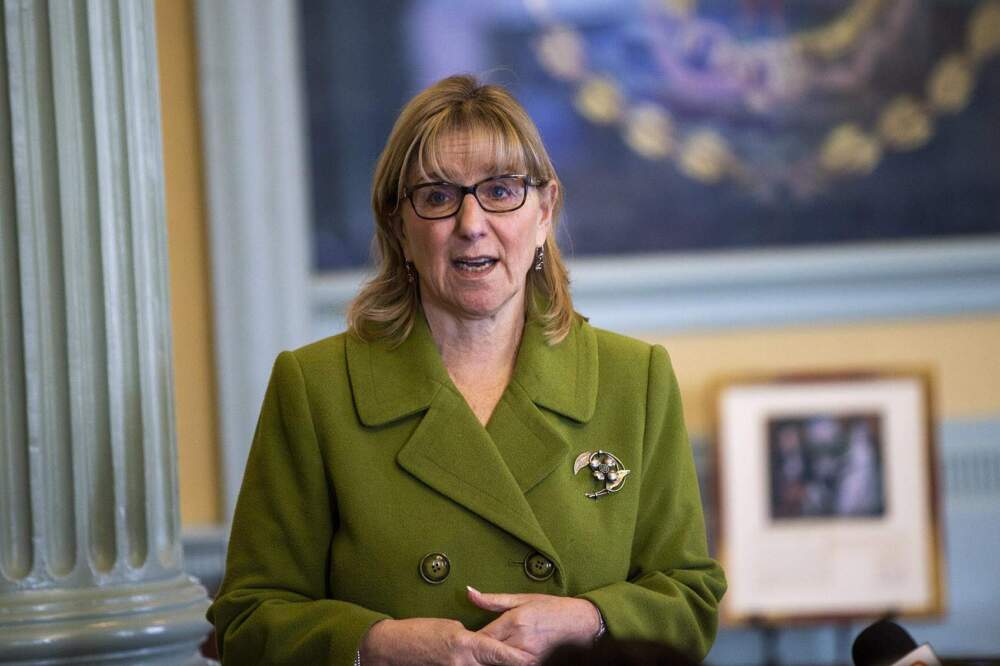 Mass. Senate wants to put more money toward legal defense fund for immigrants