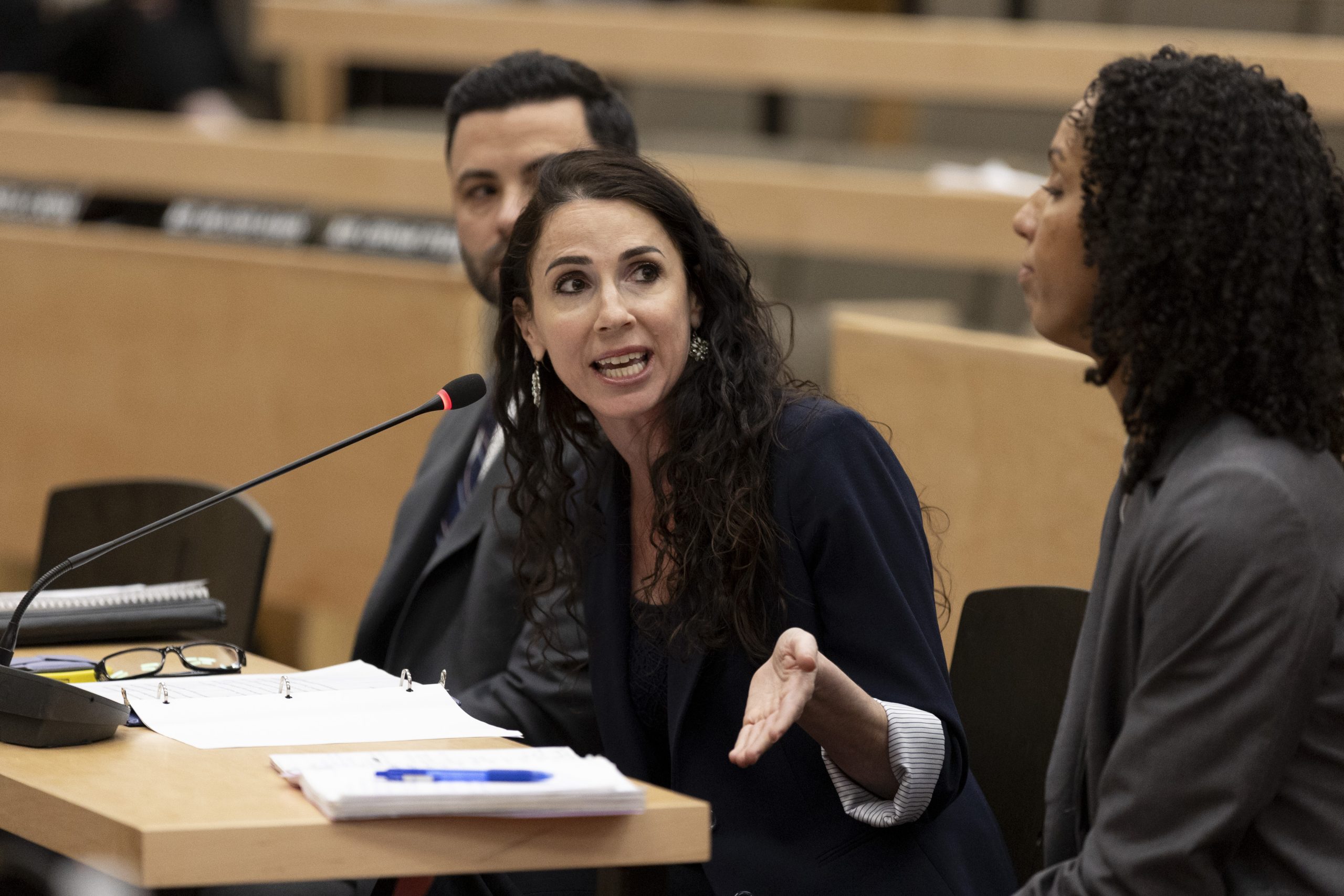 With  auditor's office funding on the line,  DiZoglio and Legislature play nice for an hour