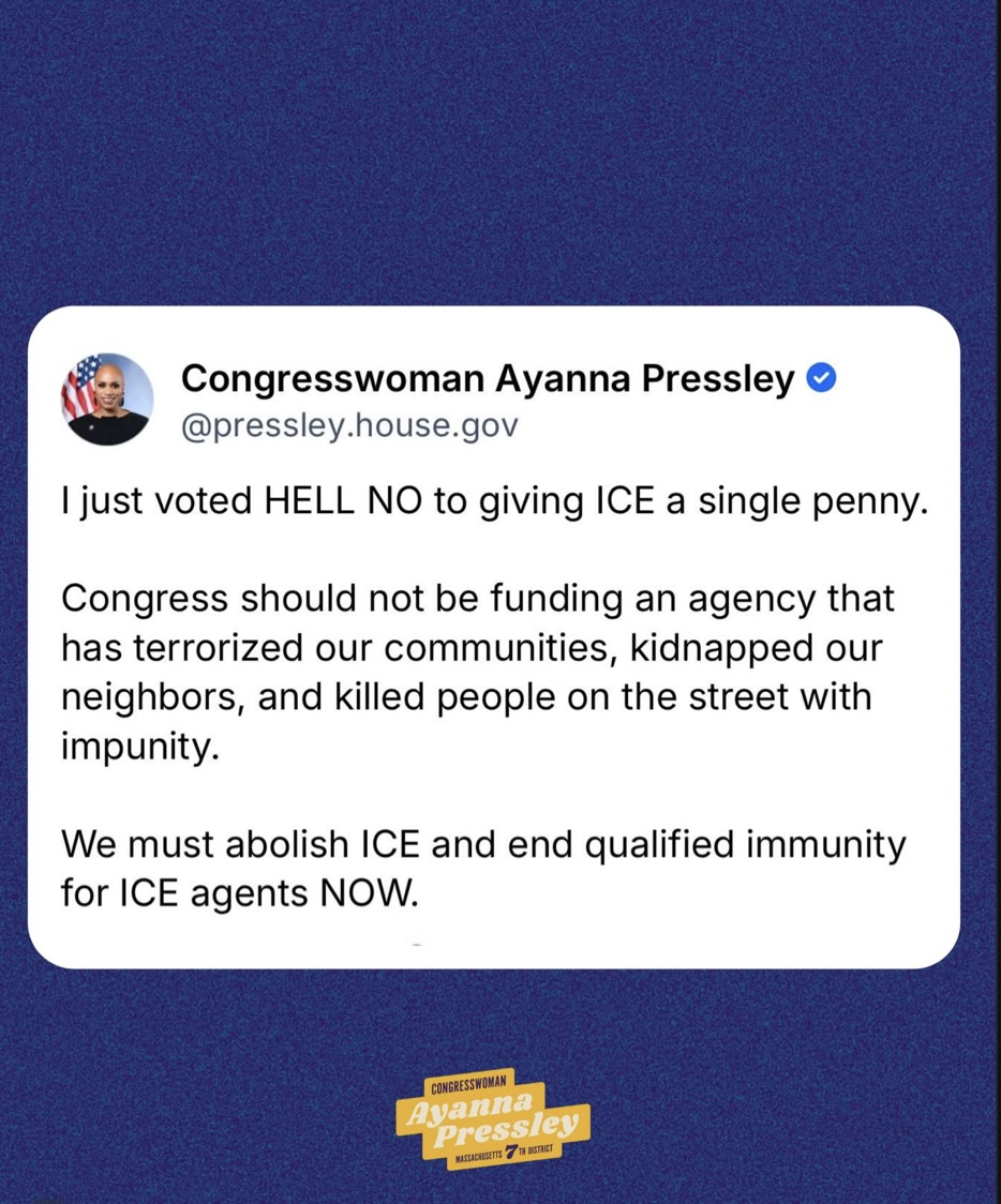 I just voted HELL NO to giving ICE a single penny.