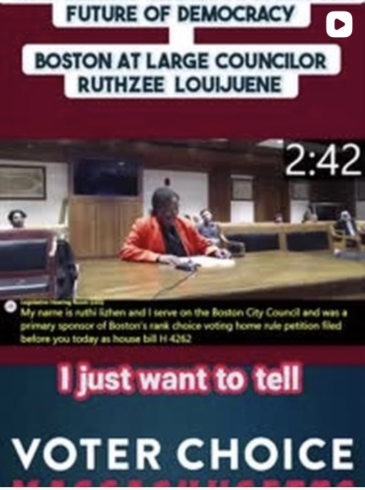 A lawyer's journey from working on the ground in election law to becoming a fierce advocate for electoral reform is truly compelling.