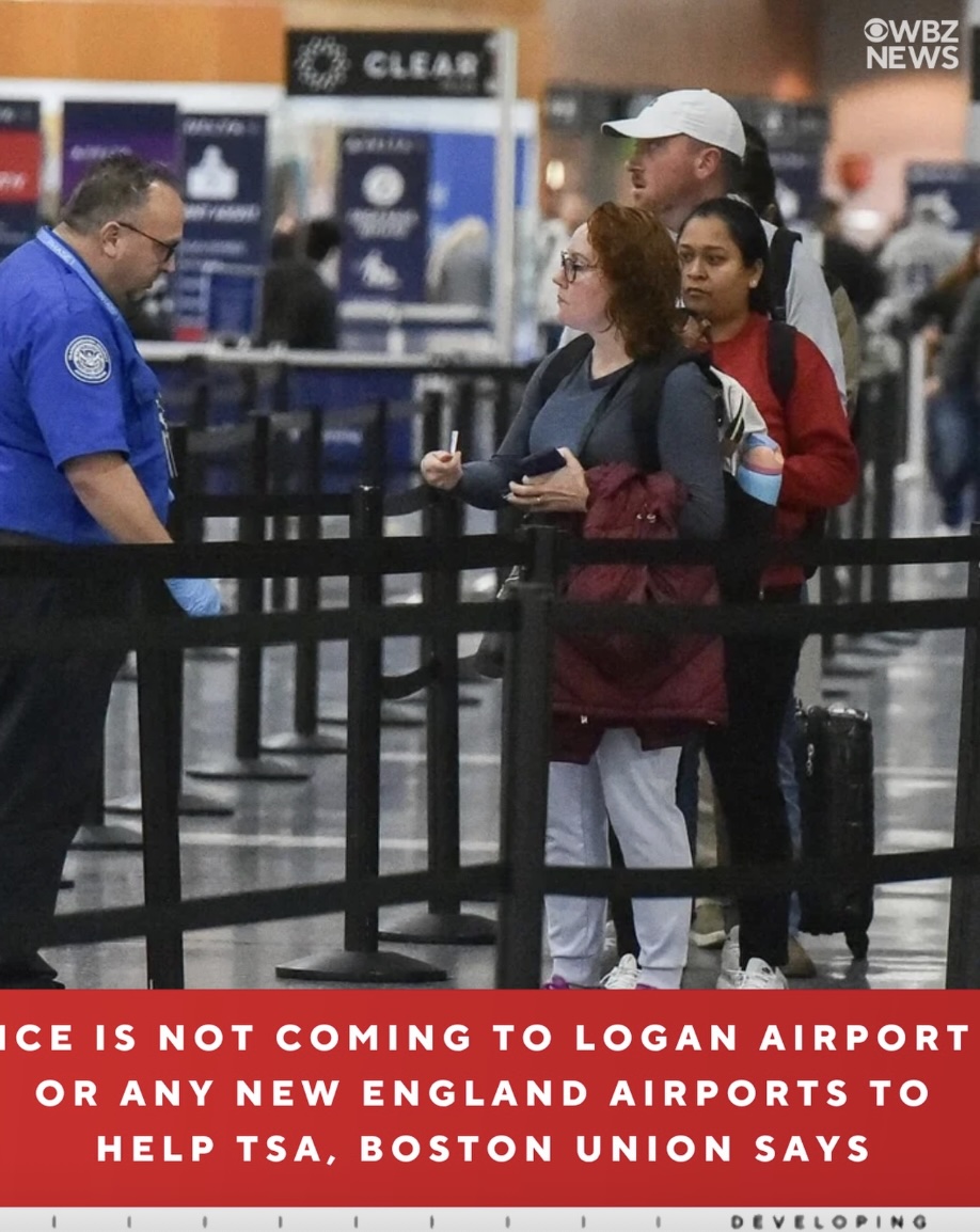 Immigration and Customs Enforcement (ICE) agents will not be coming to Logan Airport in Boston, Massachusetts or any airports in New England to help TSA agents with passenger wait times, according to the head of the local TSA Officers Union. 