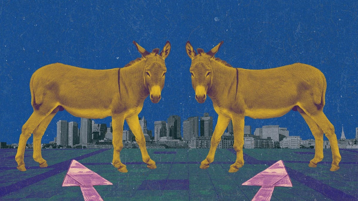 No one faction, policy, or person can save the Democrats