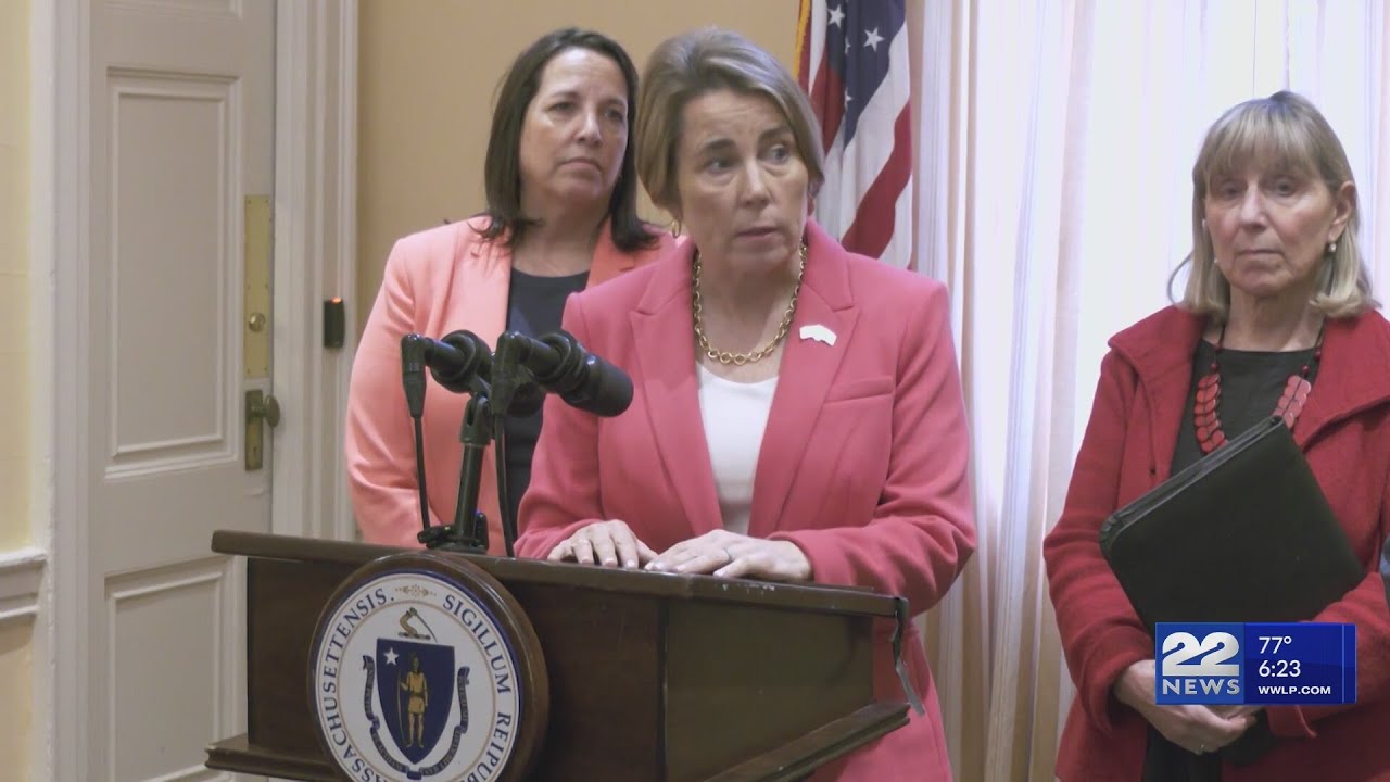 Healey: Trump may "try to steal" 2026 midterms