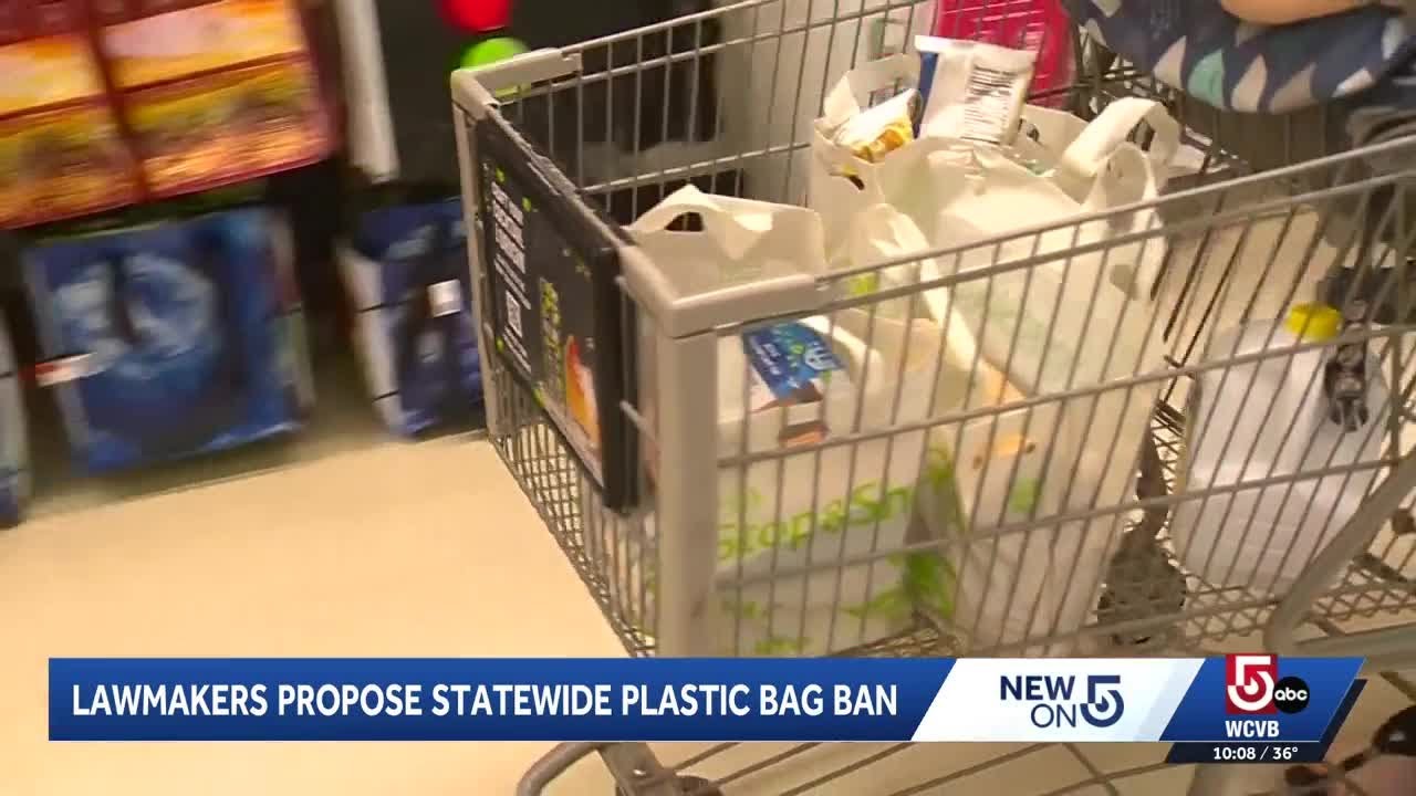 Massachusetts lawmakers consider statewide plastic bag ban