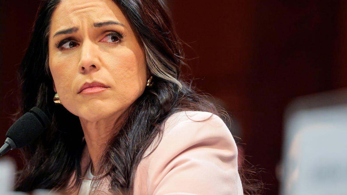 First Draft: Has a Far-Right, Islamophobic Cult Leader Been 'Controlling' Former Intel Chief Tulsi Gabbard All These Years?