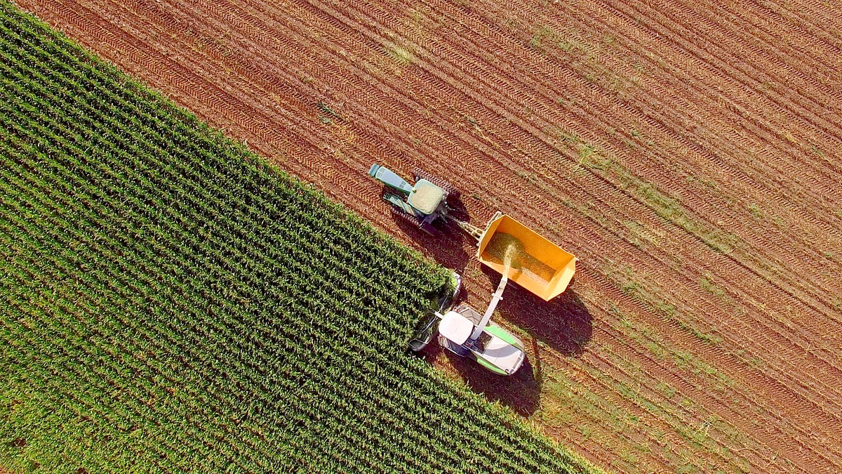 The dumb policy making groceries more expensive