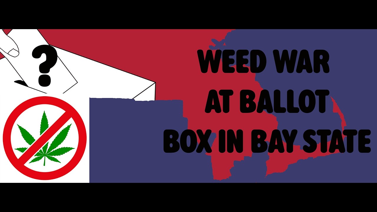 Showdown Over Cannabis in Mass! Prohibitionists Fund Ballot ? to Shut Down $9B Adult Use industry