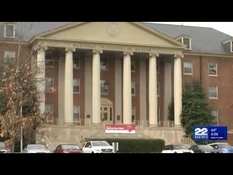 Healey responds after research trials halted by NIH cuts