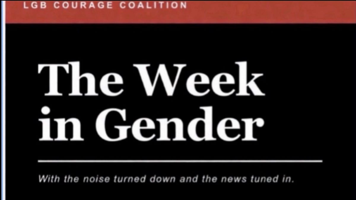 The Weekly News Roundup: October 9, 2026