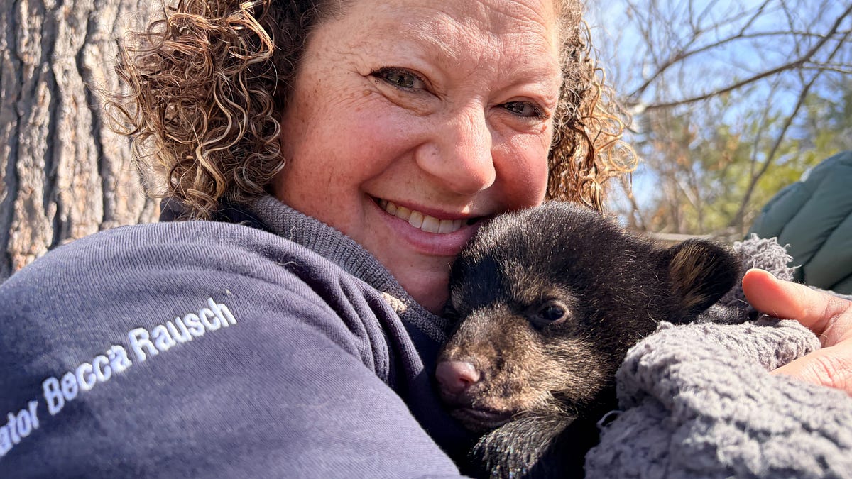 Up Next: The Greatest Environmental Investment in Massachusetts History