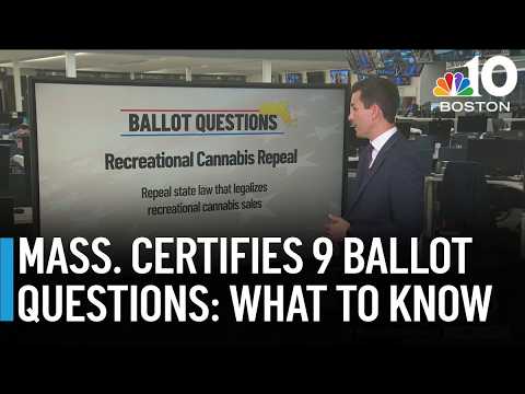Mass. voters will decide on 9 ballot questions this year