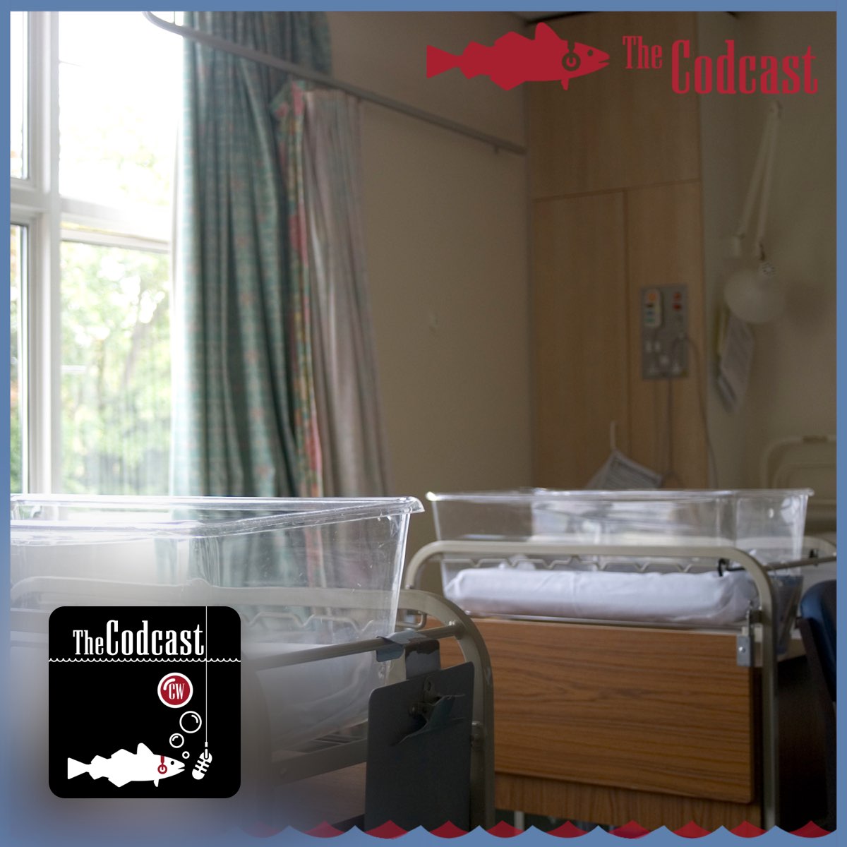 The maternal health crisis in a state ranked first in the nation for medical care