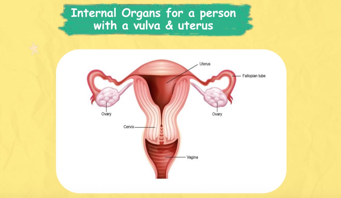 Lexington Public Schools Tries, and Fails, to End-Run Around the Sex Ed Opt Out Law