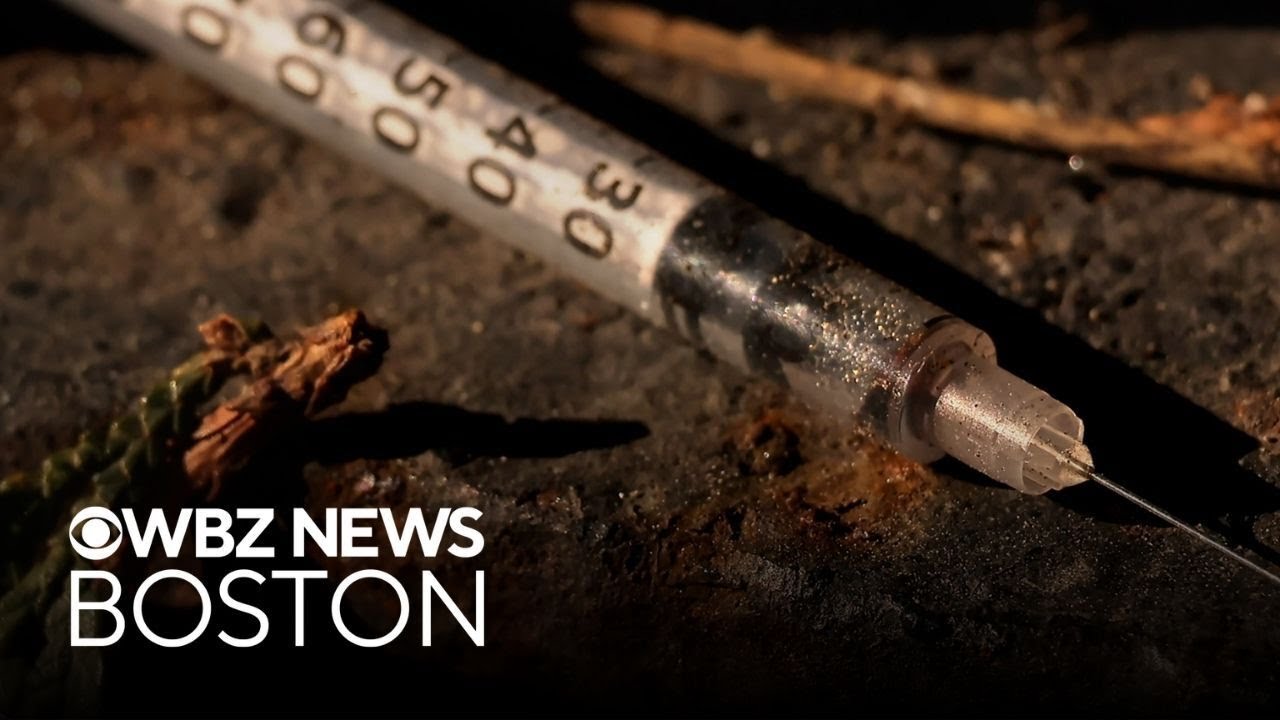 Leaders in Boston's South End seek changes to improve Mass. and Cass