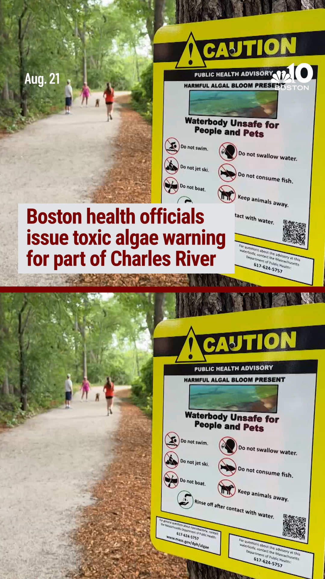 Health officials in Massachusetts are warning people and their pets to avoid part of the Charles River due to a potentially harmful cyanobacteria algae bloom.