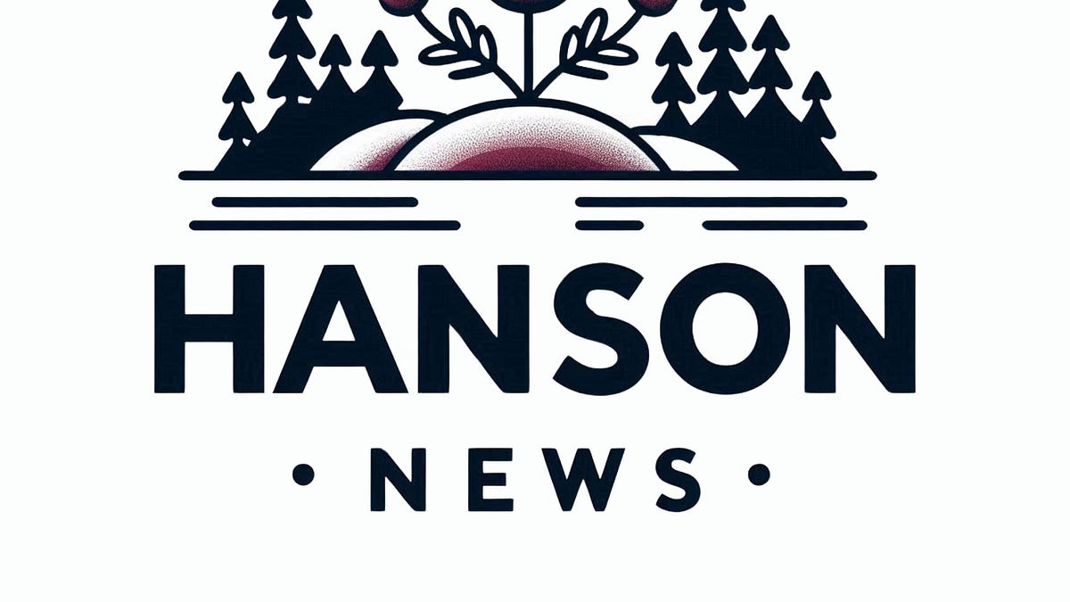 Hanson Won't Vote on Its Flock Cameras Short-Handed, and the Police Chief Says He'd Accept a Pause