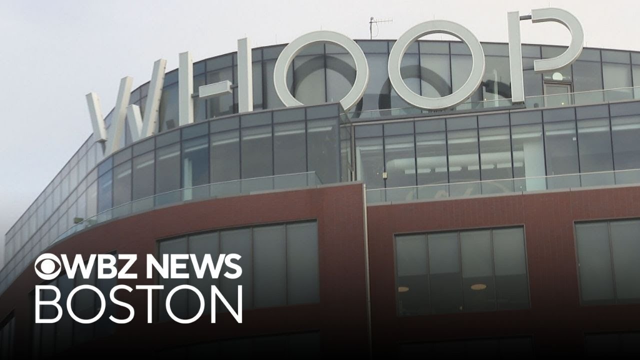 Gov. Healey celebrates companies bringing business to Massachusetts