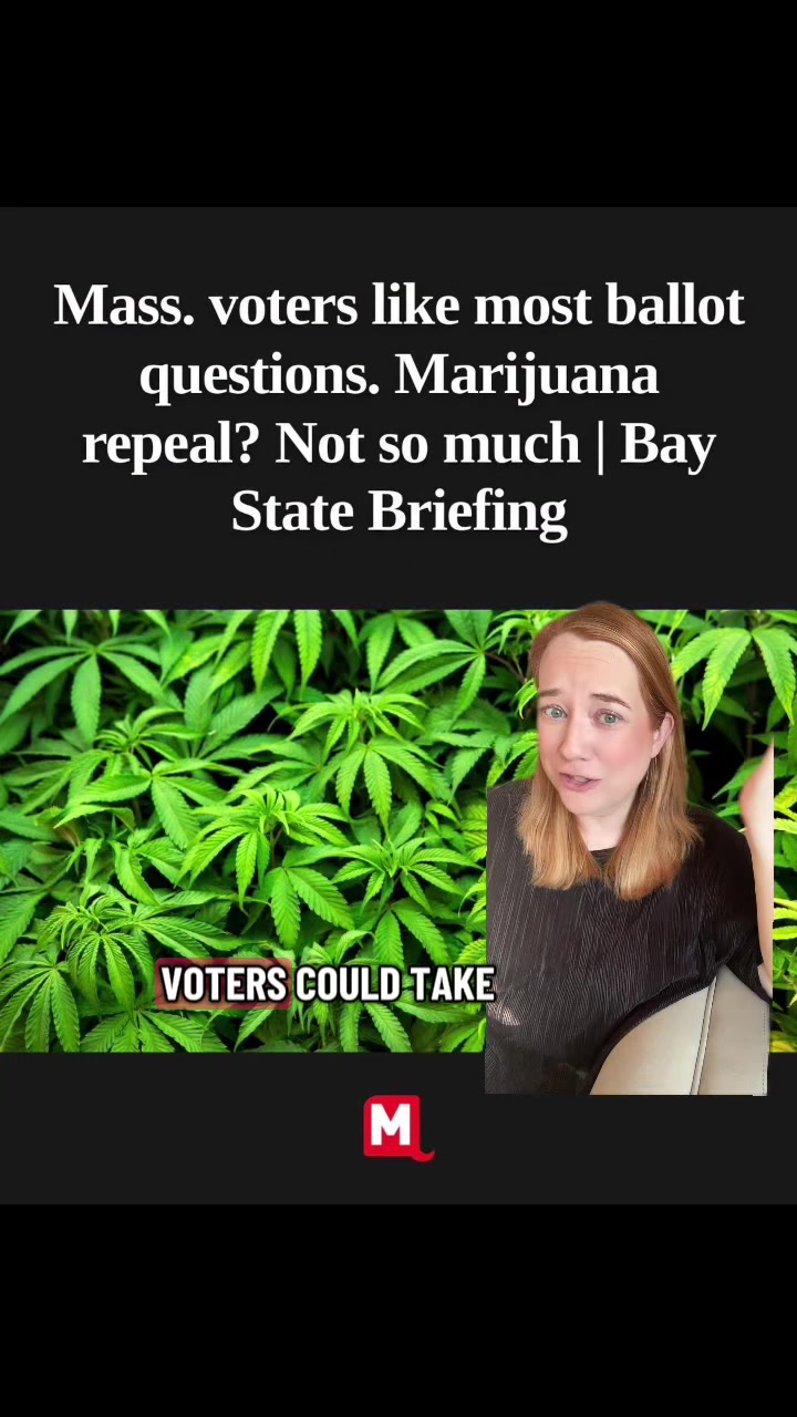 What are your thoughts on the cannabis ballot question in Massachusetts?