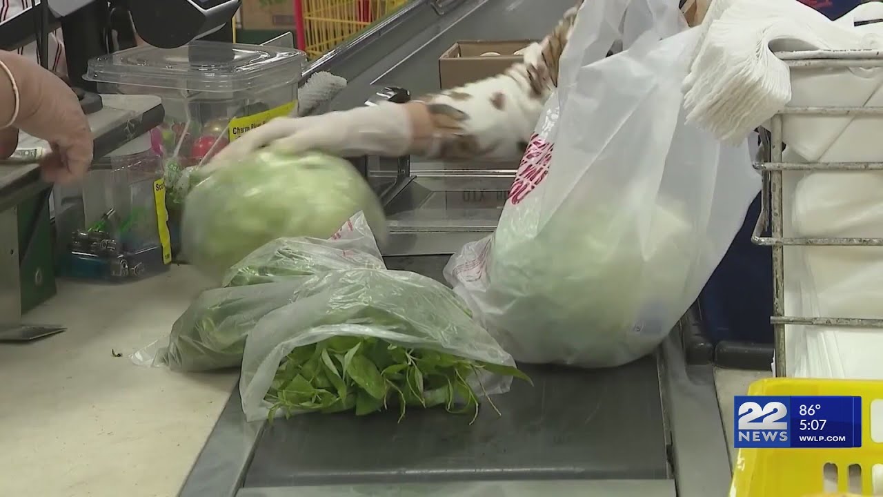 Senate passes $3.64B environmental bond bill with plastic policy